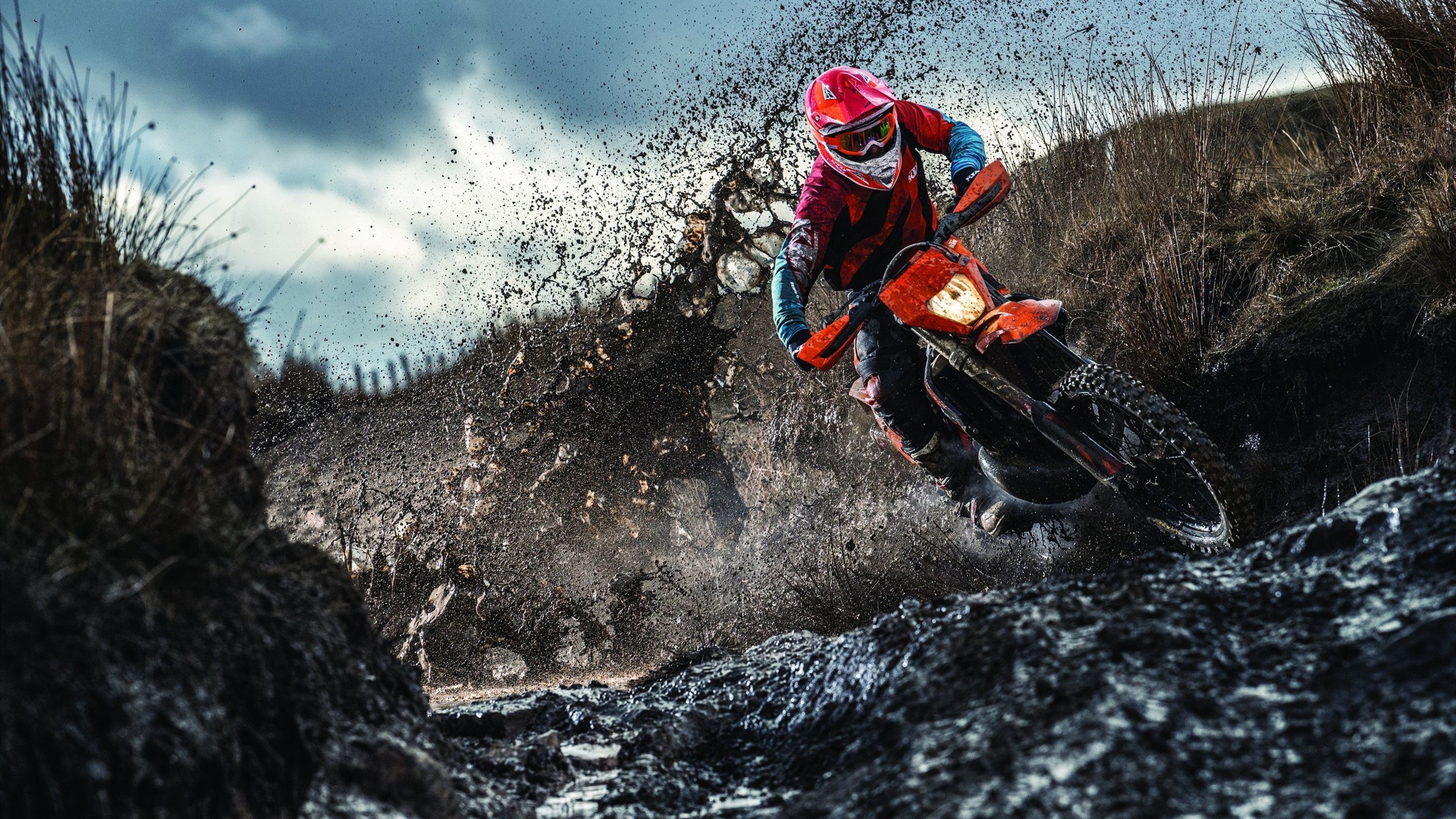 _奇才队坚韧不拔，力挫劲敌_，奇才队队员名单